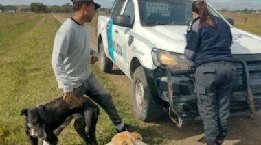 Un hombre fue atrapado por la policía mientras cazaba con cinco galgos