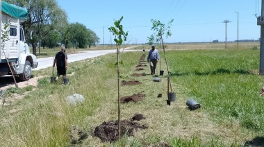 Sector Industrial Los Frenos: buscan iniciar un proyecto de arbolado