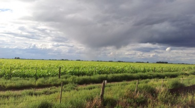 Las condiciones de “El Niño” ya están en la región y se espera una primavera lluviosa