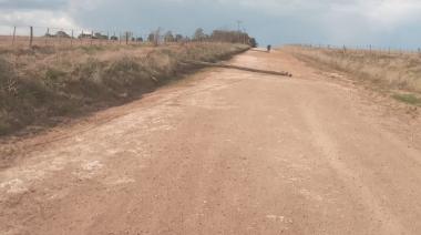 Colonia Nievas: cayeron varios postes y la localidad quedó sin luz