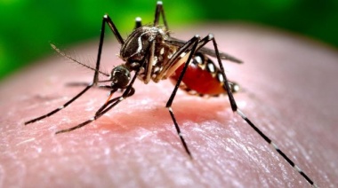 Salud pide extremar los cuidados frente el aumento de casos de dengue