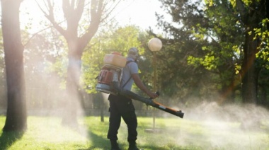 Los casos de dengue aumentaron casi un 20.000% en un año y reclaman campañas de prevención a Nación