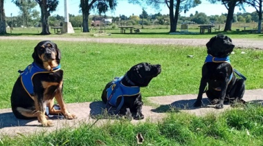 En una cárcel de Sierra Chica adiestraron tres perros para asistir a personas con discapacidad