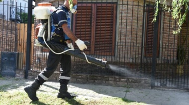 Descienden los casos de dengue en el país