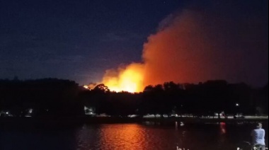 Tandil: Un importante incendio forestal se desató en cercanías del Parque Bicentenario