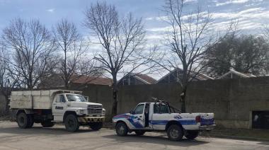 Indignación por la poda de árboles en el Barrio CECO 1