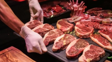 El consumo de carne se derrumbó a niveles históricos y generó un impacto en la baja de la inflación