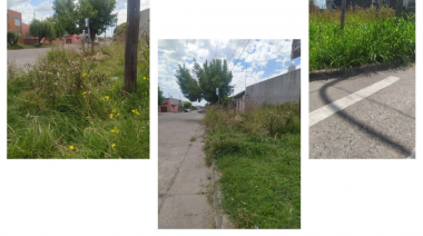 Ahora Olavarría criticó el estado de las paradas de colectivos