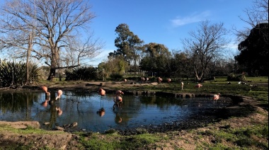 El Municipio invita a participar del Primer Festival de Acquagym y Yoga