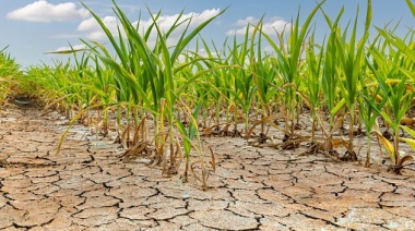 Los créditos especiales para productores afectados por la sequía ya superaron los $5.000 millones