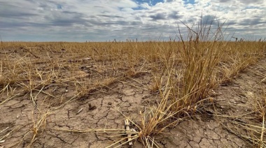 Provincia lanzó asistencia económica para arrendatarios afectados por la sequía