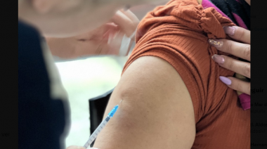 Vacunación contra el dengue: El Ministerio de Salud envió nuevos turnos por mail