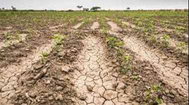 El INTA espera “más precipitaciones” para los próximos meses