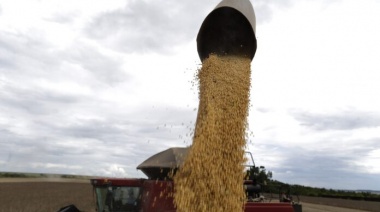 El Gobierno cerró el registro para anotar exportaciones de granos y subproductos