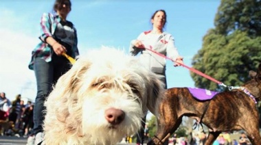 Reclaman una ley para que las mascotas sean reconocidas legalmente como parte de la familia