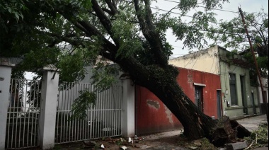 Los expertos del Conicet analizaron el fenómeno climático y sus consecuencias