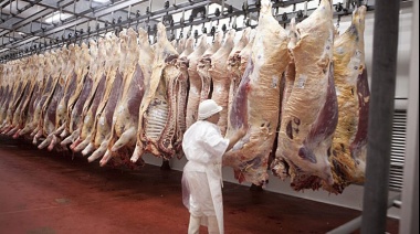 El Gobierno busca moderar los aumentos en el mercado de la carne