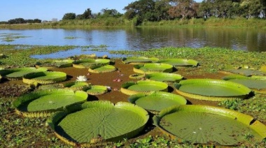 Provincia lanzó un programa para trabajar en la conservación de humedales