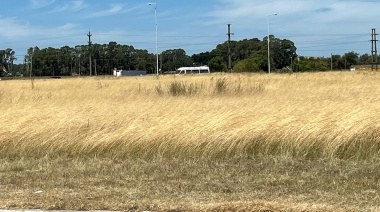 El Municipio reclamó a Vialidad Nacional el corte de pasto en la Ruta 226