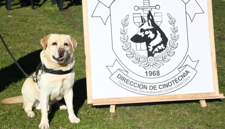 SPB de Sierra Chica: se jubiló un perro detector de estupefacientes y fue adoptado por su guía