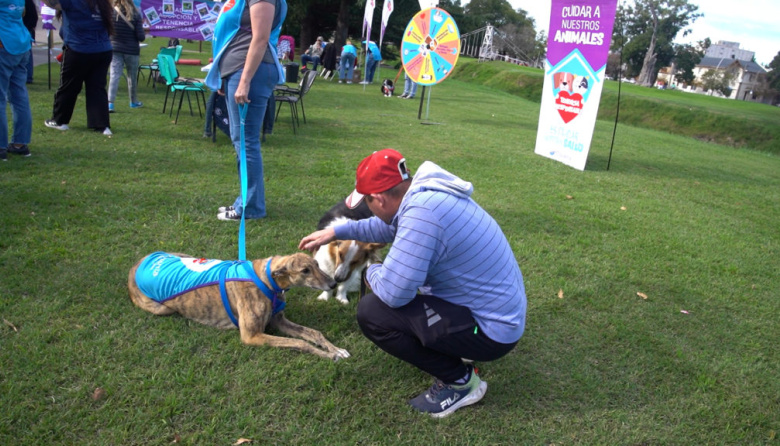 El Municipio impulsa una nueva campaña de adopción y cuidado responsable de animales de compañía