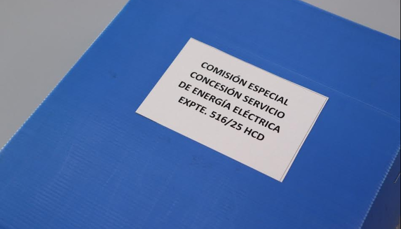 La Comisión Especial fijó posición sobre la concesión eléctrica y emitió su dictamen final