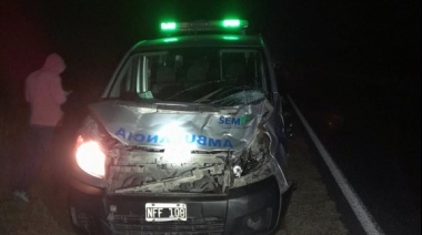 Ambulancia de SEM colisionó contra una vaca en la Ruta 205: tres personas hospitalizadas