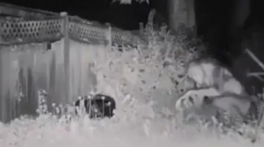En Las Vegas apareció un video de un supuesto extraterrestre