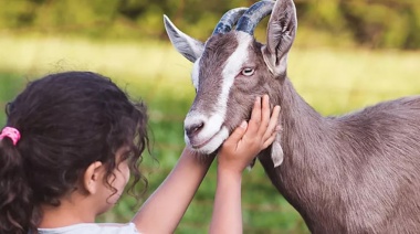 Hoy se conmemora el Día Mundial de las Zoonosis