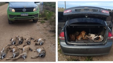 Seis cazadores furtivos fueron sorprendidos en Santa Luisa