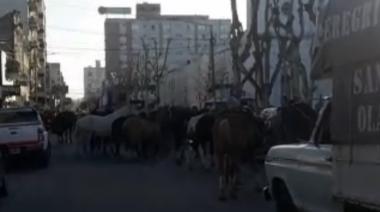 Los Gauchos Peregrinos Inician su Viaje de 370 km