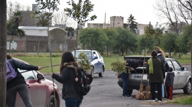Se llevará adelante un nuevo Taller de Arbolado Urbano