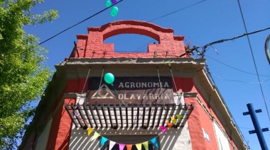 Desde Agronomía Olavarría entregarán 2000 plantines