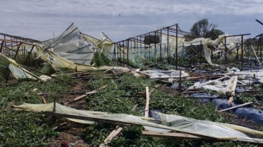 El sector hortícola registró pérdidas que rondan los 50 millones de pesos por el temporal en Olavarría