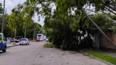 "Es complejo ofrecer un panorama por zonas, ya que dentro de un mismo barrio hay sectores sin luz y otros con servicio"