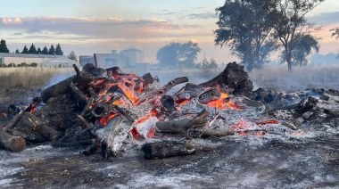 Incendiaron toneladas de leña del temporal que el Municipio acopiaba para el invierno