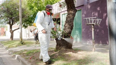 Dengue: Para la Provincia es la epidemia “más grande de la historia del país”