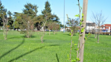 Se plantarán árboles en el Parque de la Memoria
