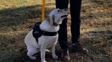 Sierra Chica: así fue el retiro de Tita, una perra labradora penitenciaria