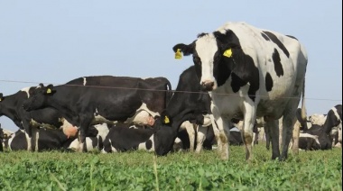 La Dirección de Desarrollo Agropecuario realizó un relevamiento de los tambos activos en el Partido