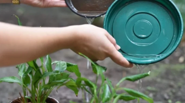 Prevención del dengue: Tras las lluvias, es imprescindible limpiar patios, balcones y canaletas