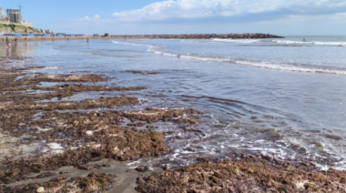 Algas rojas en la costa bonaerense: ¿Por qué aparecen y qué precauciones hay que tomar?