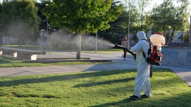 Continúa la fumigación en plazas, parques y espacios públicos del Partido de Olavarría