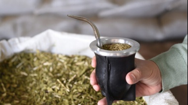 ¿Qué país se lleva el 77% del total de yerba que exporta la Argentina?