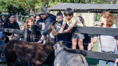Actividades para este finde en el Polo Educativo y Recreativo La Máxima
