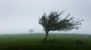 La semana arrancó con mucho frío y alertas por viento en Olavarría y gran parte de la Provincia