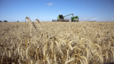 “No hay margen”: el campo renovó sus críticas por la suba de las retenciones