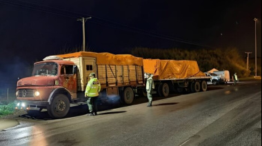 Interceptaron un camión que llevaba, sin autorización, remifentanilo