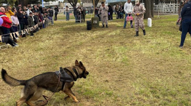 Vecinos de Sierra Chica disfrutaron de una exhibición de los canes del Servicio Penitenciario Bonaerense