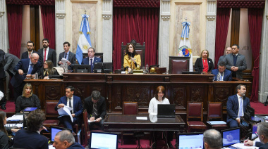 El Senado convirtió en ley el financiamiento universitario